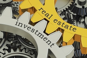 real estate professional
