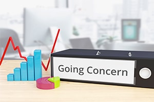 going concern