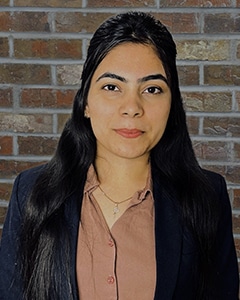 tax consultants